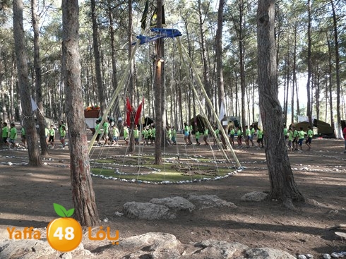 kashaf mo5ayam 809 (12).jpg